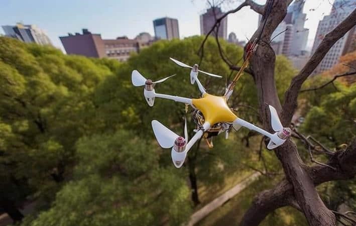 Get A Drone Out of A Tree