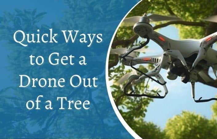 How to Get a Drone Out of a Tree: Effective and Safe Methods