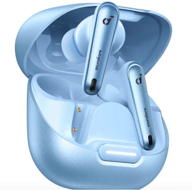 How To Store Earbuds When Not In Use?